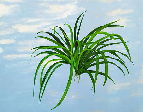 Catalogo E-2020-acrilico su tela-cm40x50