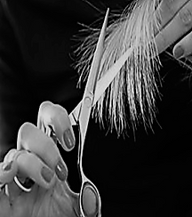 Picture36 (2).png