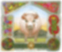 Cow Sufi.jpg