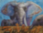 Elephants 017 a.jpg