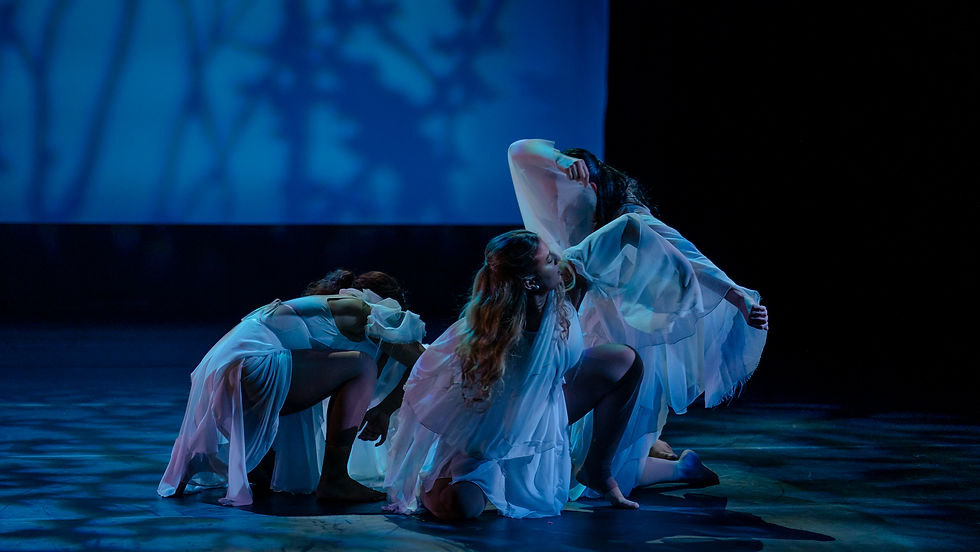 Dance Showcase (1)