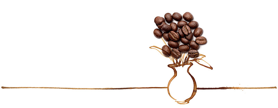 kaffebeblume.jpeg