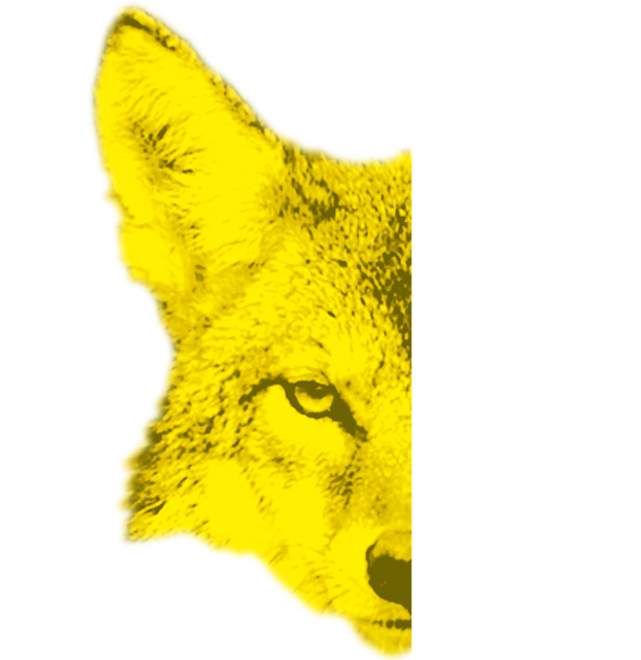 moitié coyote jaune.png