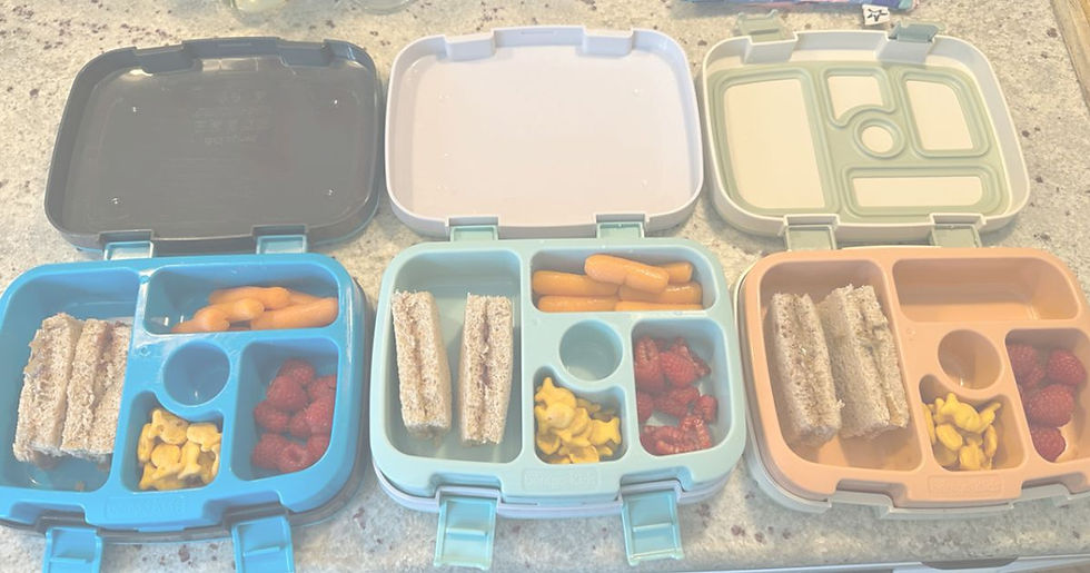 bento lunch boxes with a sandwich, fruit, cracker, and veggie