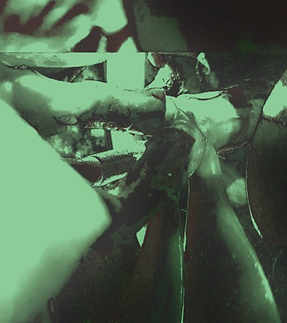 malfunction cover low qual.png