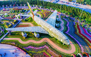 Miracle Garden 3.jpg