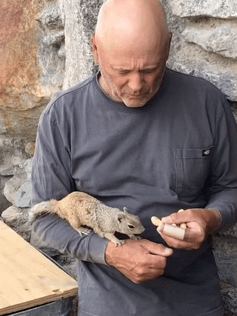 Owner with his pet squirrel Rocky.