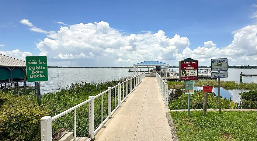 overlooking a lake.jpg