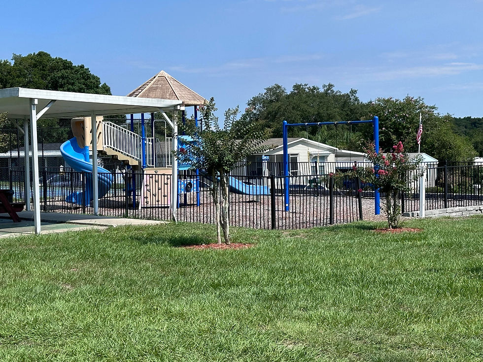 playground.jpg