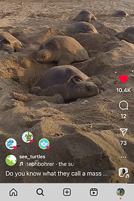 Social Media Example