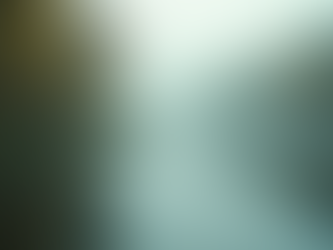 The Art of Mindful Living