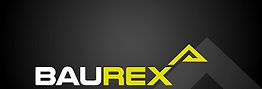 BauRex Logo 2 (002).jpg