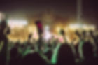 Music Festival Crowd