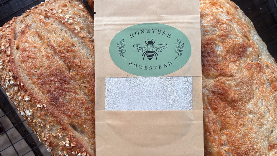 Essential Steps to Rehydrate and Feed Your New Dried Sourdough Starter