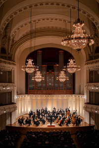 Vienna like classical music charm4.png
