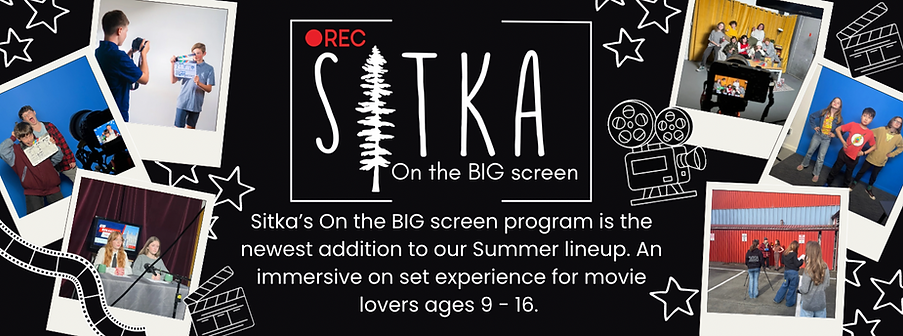 Copy of Pink Banner.png