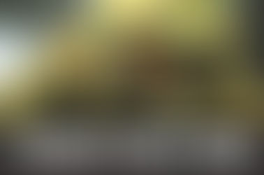 Cataract Kush Strain