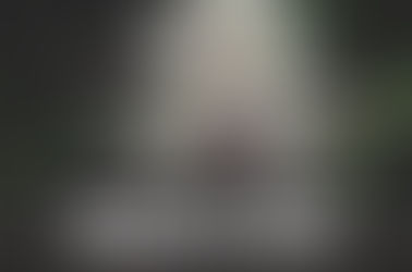 Pineapple Purps Strain