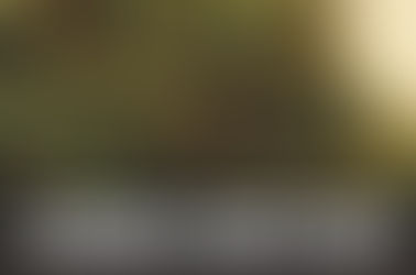 Caramel Candy Kush Strain