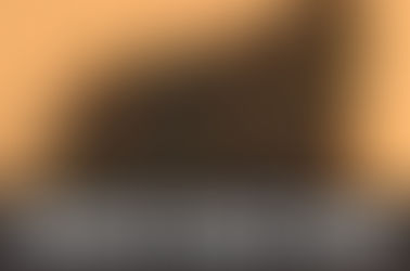 Buddha’s Hand Strain