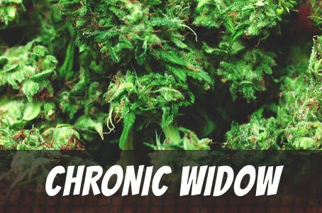 Chronic Widow Strain