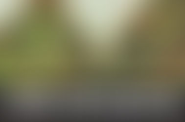 Pineapple Super Silver Haze Strain