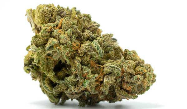 Slimer OG Strain Medical