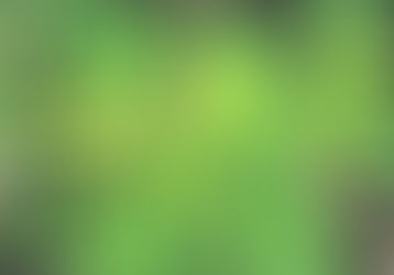 Sulfur deficiency in marijuana plants