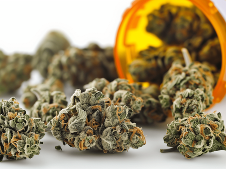 Top 22 Medical Cannabis Strains for Therapeutic Benefits