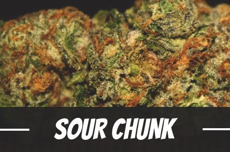 Sour Chunk Strain