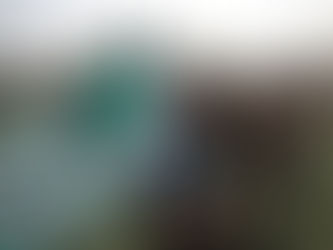Weed at Coachella : Do You Dare?