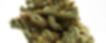 Katsu Kush Adverse Reaction