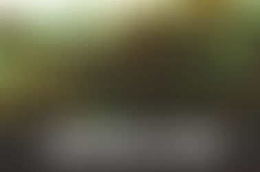 Silverfalls Kush Strain