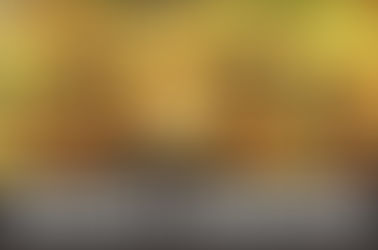 Blueberry Lambsbread Strain