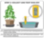 Step 2: Collect and Examine Run-Off