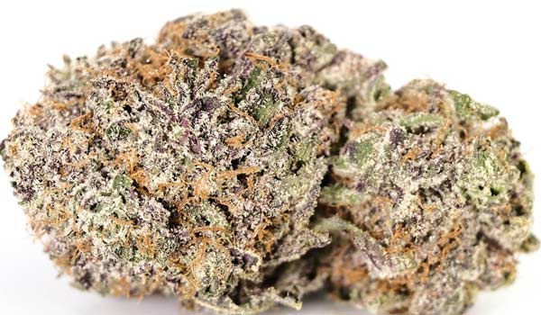 God’s Green Crack Strain Effects