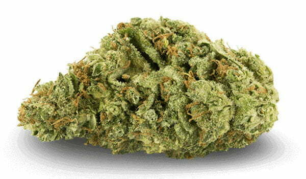 Walker Kush Strain Effects