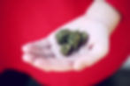 cannabis image