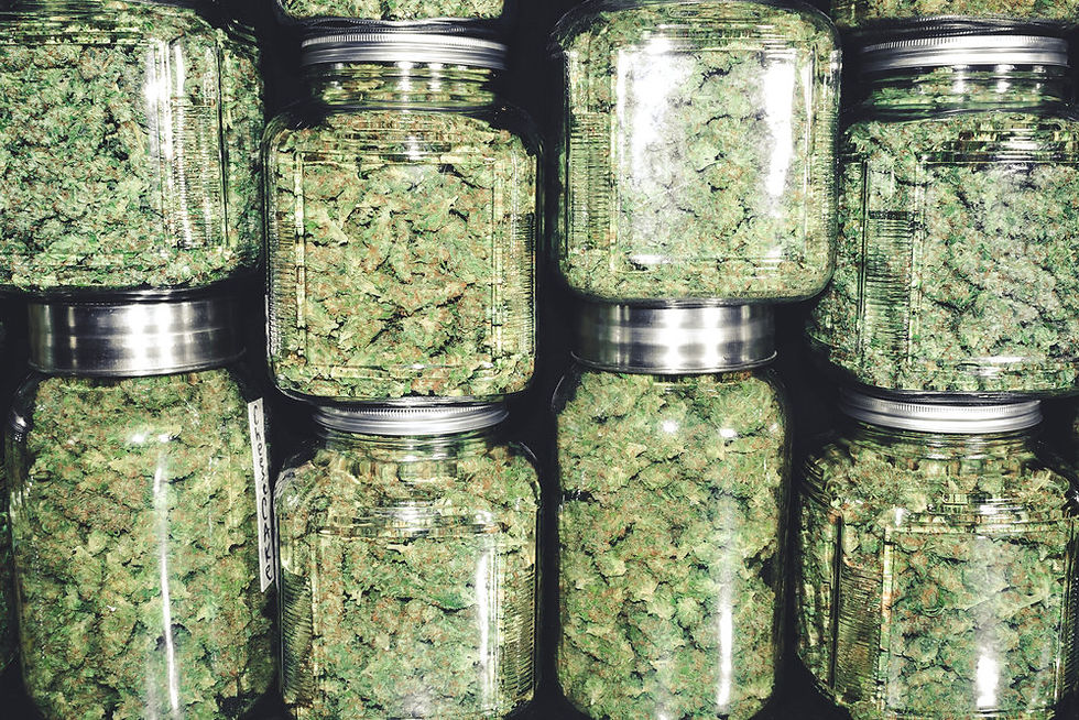 cannabis image