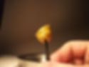 cannabis image