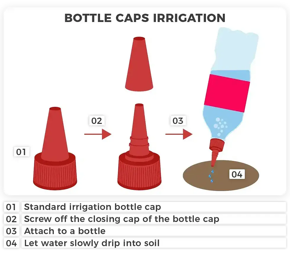 Bottle caps irrigation weed plants