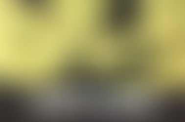 Snoop’s Dream Strain