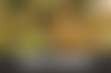 Green Goddess Strain