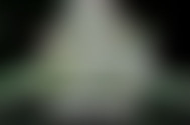 How to Maximize Cannabis Yields