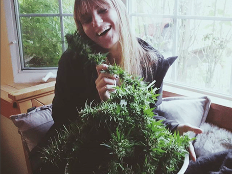 What’s in Your Pipe, Christina Ketchum?