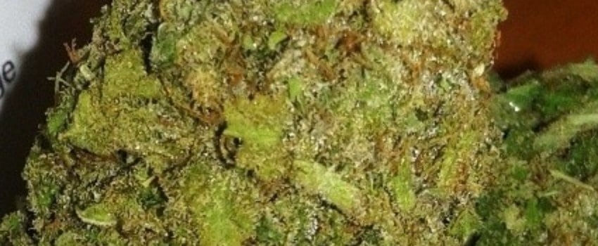 Durban Berry Medical