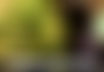 Platinum Punch strain