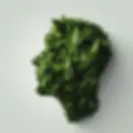 cannabis image
