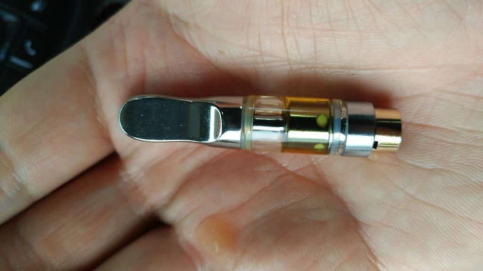 kabunky cartridge review