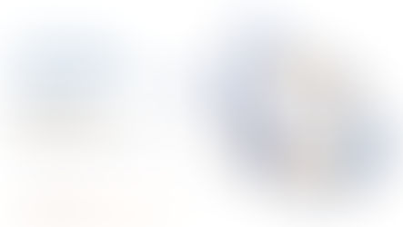 Inside a Company Information Report: Key Details That Reveal a Business’s True Health